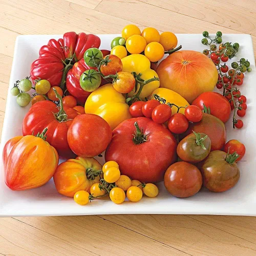 Vista 4 de Semillas de tomate Caleidoscopio Mix (de pequeño a gigante) Vegetales tradicionales para plantar sin OMG