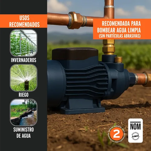 Vista 6 de Bomba periférica agua eléctrica 3/4 HP