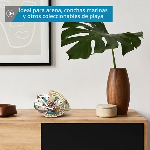 Vista 6 de MDLUU Jarrón de carcasa de vidrio, soporte de popurrí de conchas marinas de 10 pulgadas, cuenco decorativo para exhibición de colección de conchas