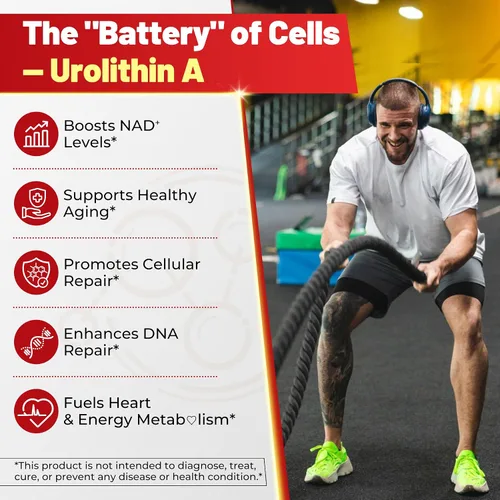 Vista 5 de Gomitas de urolitina A para longevidad y energía muscular, suplemento liposomal de urolitina A+ de 1000 mg con NAD+, CoQ10, resveratrol