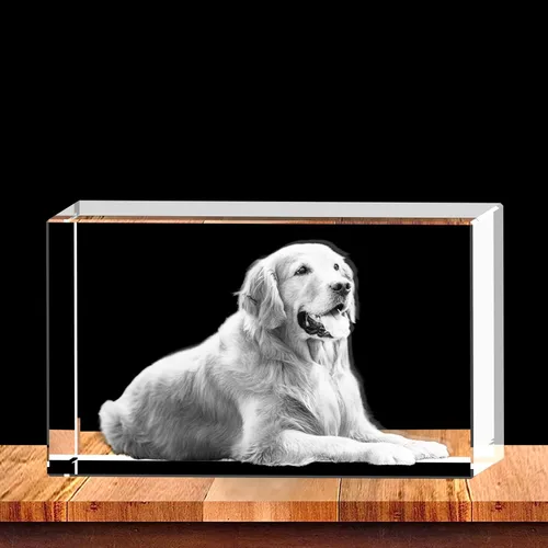 Vista 4 de Foto de cristal 3D personalizada grabada dentro del cristal con tu propia imagen, regalo de cubo de fotos de vidrio 3D, regalo único para el día
