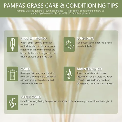 Vista 7 de 60 tallos de 22 pulgadas, flores secas naturales pequeñas de hierba de las pampas, Phragmites Communis, ramo de flores secas para bodas, arreglos