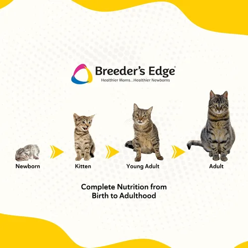 Vista 6 de Breeder's Edge Foster Care - Reemplazo de leche en polvo para gatitos felinos, fórmula para recién nacidos y gatos adultos, nutrición completa