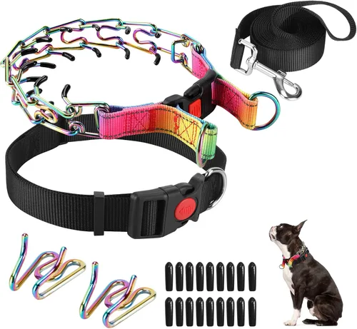 Vista 11 de Collar de entrenamiento de puntas con puntas cómodas y hebilla de cierre rápido – Collar de pellizco para perro con cubierta de nailon