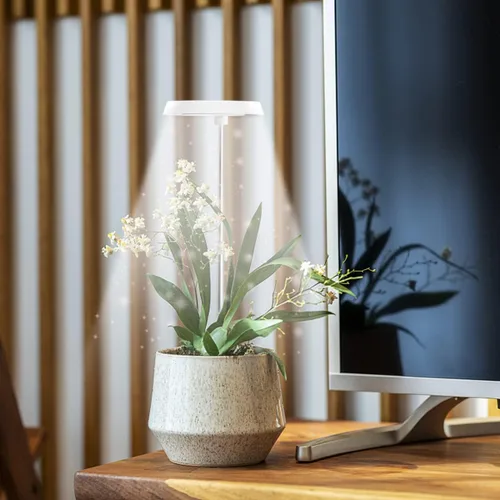 Vista 7 de GYTF Luz de cultivo de plantas Halo, lámpara LED blanca de 6000 K de espectro completo para plantas de interior, suculentas, mini bonsái, plantas