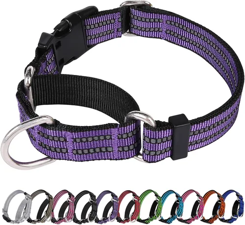 Vista 28 de Martingale - Collar reflectante de nailon ajustable con hebilla de liberación rápida, collares de entrenamiento para perros pequeños, medianos