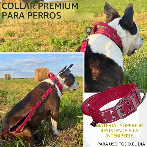 Vista 6 de ADITYNA - Collar de perro resistente para perros grandes con asa de tráfico Borgoña
