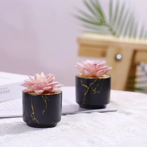 Vista 2 de ZENIDA Plantas Artificiales Suculentas, Lindas Suculentas Falsas en 2 Macetas de Cerámica Negra, Pequeñas Plantas Falsas para Oficina, Mesa