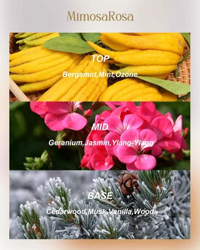 Vista 89 de M&SENSE Velas aromáticas de bayas cítricas, vela grande de lata de soja de 3 mechas, más de 40 horas de tiempo de combustión, cera vegana 100%