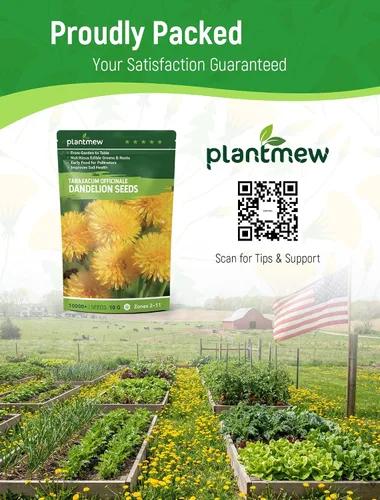 Vista 7 de Semillas de diente de león para plantar: más de 4,000 semillas de hierbas de diente de león (Taraxacum officinale), hojas comestibles, raíces