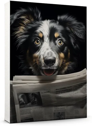 Vista 48 de Thuan Affenpinscher - Póster de lienzo con tus fotos, arte de pared para decoración del hogar, regalo conmemorativo para amantes de las mascotas