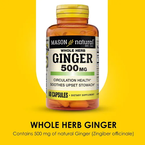 Vista 4 de MASON NATURAL Hierba entera jengibre 500 mg, suministro de 2 meses, suplemento herbario natural, 60 cápsulas