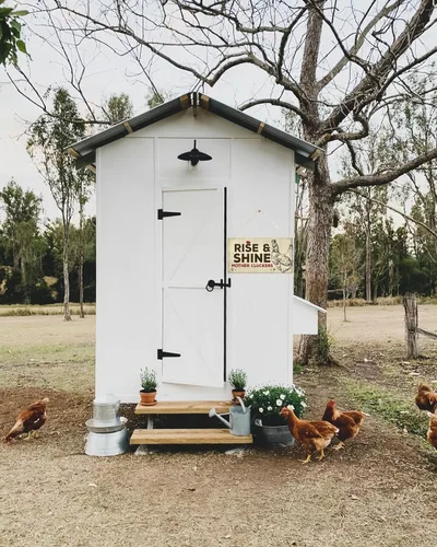Vista 5 de TOMATO FANQIE Letrero de gallinero divertido para gallinero para puerta de jardín, regalo para amantes de los pollos de 10 x 5 pulgadas (US-G058)