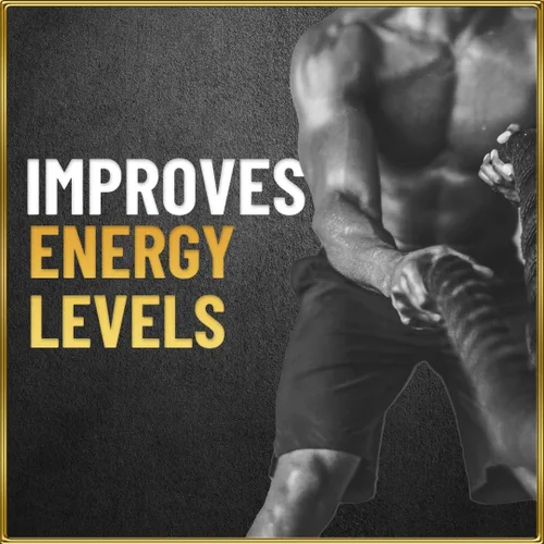 Vista 4 de sesa Resina Shilajit del Himalaya 100% ayurvédica, 50 porciones de 400 mg que ayuda a aumentar la fuerza, más de 85 oligominerales, resistencia e