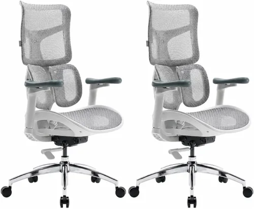 Vista 18 de SIHOO Doro S100 Ergonomic Office Chair - Dual Dynamic Lumbar Support, 4D Coordinated Armrests, 5-Level Adjustable Backrest, Recline Angle 135-degree