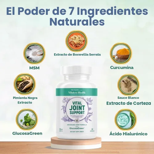 Vista 5 de VITAL NUTRITIVE Suplemento de apoyo articular para hombres y mujeres, glucosamina, MSM