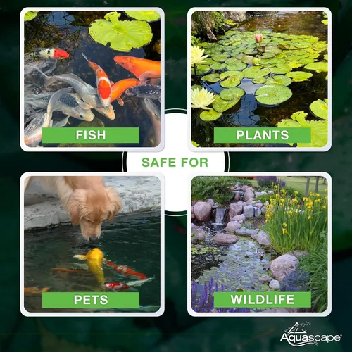 Vista 6 de Aquascape - Bacterias secas y beneficiosas para las características del estanque y del agua., Blanco