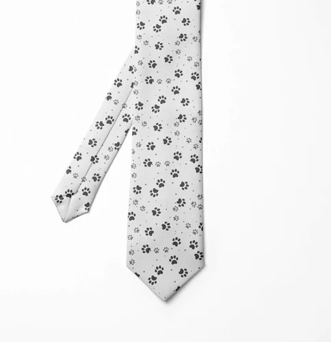 Vista 2 de Ambesonne Multicolor Modern Men's Tie