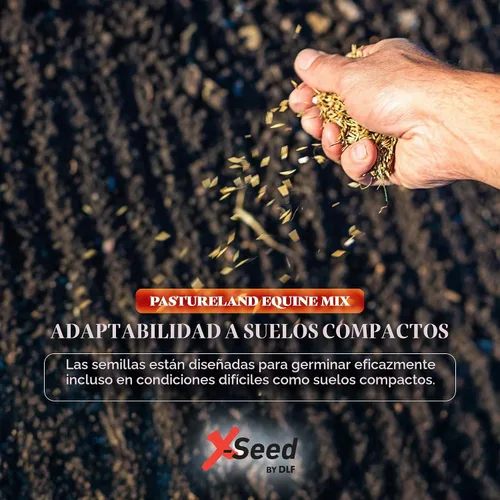 Vista 5 de X-Seed Mezcla de semillas de forraje de tierras secas con Micro-Boost – Festuca alta hierba huerta de riegrass, pasto libre de endófitos para una