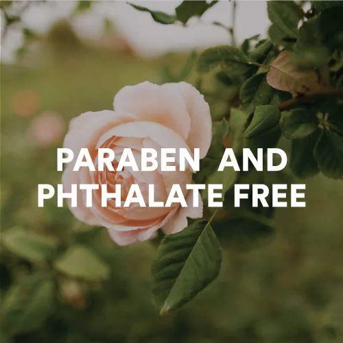 Vista 4 de Camille Beckman Cesta de regalo Essentials, Camille, terapia de manos de glicerina de 6 onzas, crema corporal sedosa de 13 onzas, gel limpiador