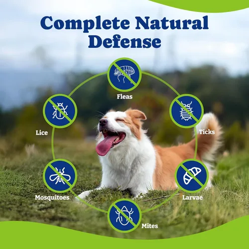 Vista 6 de Prevención de pulgas y garrapatas para perros masticables, píldoras orales para pulgas, suplemento para perros