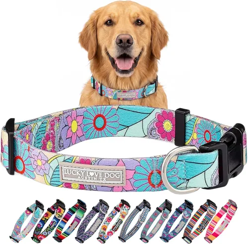 Vista 23 de Lucky Love Dog - Collar para perras pequeñas, diseño Blackbird de estampado alegre con flores de primavera y verano, talla XS Collar Blackbird