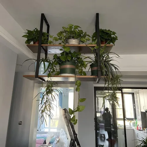 Vista 5 de Shelves Whftd Hanging Ceiling Shelf Wine Racks，Industrial Ceiling Mount Shelf，Retro Iron Metal Frame Plant Display Stand, Kitchen Bar Restaurant