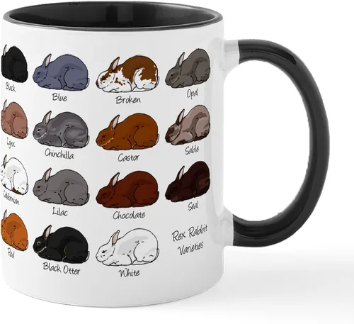 Vista 77 de CafePress Ascii - Taza de café de cerámica, taza de té, 11 onzas