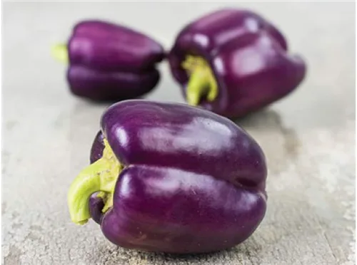 Vista 2 de Semillas de pimiento dulce lila morado vegetal gigante para plantar reliquia sin OMG