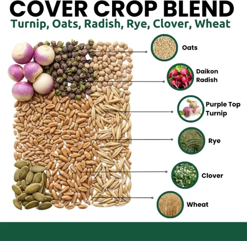 Vista 2 de Semillas de parcela de comida de venado de cola blanca Mezcla de avena de centeno de trigo con trébol de rábano de nabo Mezcla de búfalo