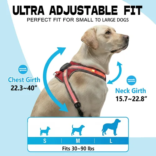 Vista 2 de Arnés reflectante con correa para perro con iluminación LED, chaleco de seguridad iluminado para perro