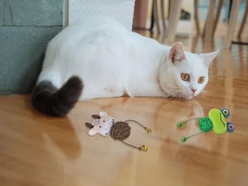 Vista 4 de BoomBone Lindo juguete de pelota para gatos con campana para gatos de interior, paquete de 3 juguetes de persecución de gatitos con hierba gatera