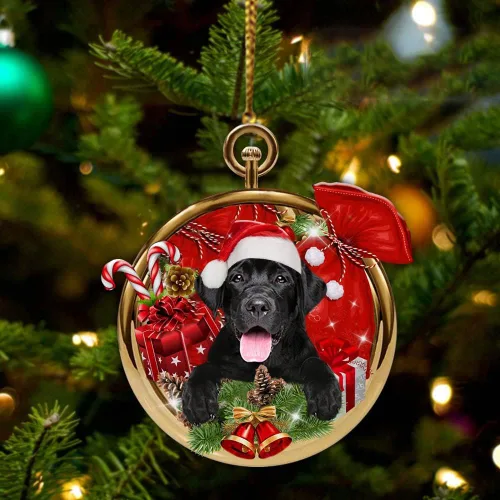 Vista 24 de Nazenti Adorno personalizado de bola de Navidad de pastor australiano – Adorno de perro personalizado para amantes de las mascotas, colgante