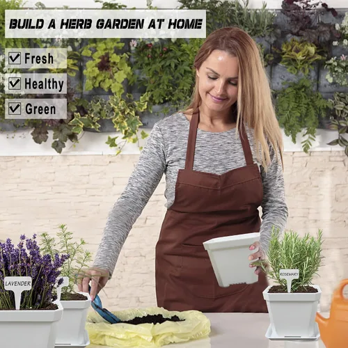 Vista 6 de Kit de cultivo de hierbas, 10 semillas de hierbas, kit de iniciación de jardín, juego completo de cultivo de plantas en maceta que incluye macetas