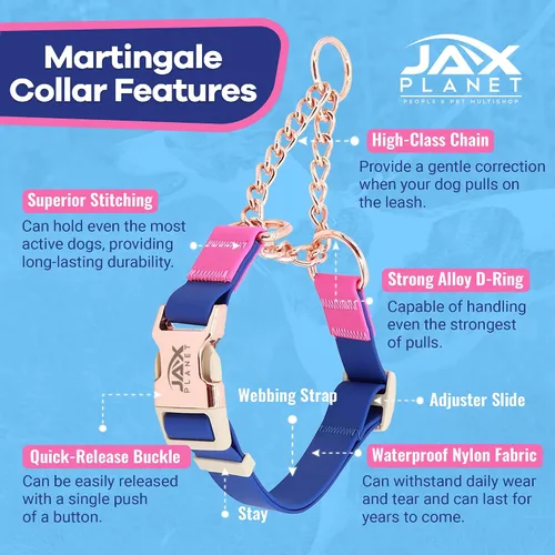 Vista 2 de Jelly - Collar para perro martingala impermeable, collar de nailon sin tirones con hebilla de metal de aleación y anillo en D para entrenamiento