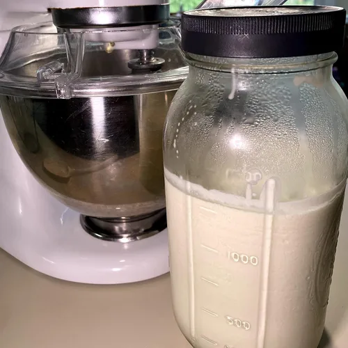 Vista 4 de Cultures for Health Cultivo de iniciación de suero de leche Suero de mantequilla, crema agria o mantequilla Cultivos iniciales tradicionales a