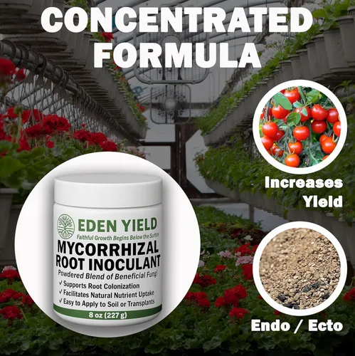 Vista 2 de Inoculante micorrícico de Eden Yield - Potenciador orgánico de raíces en polvo de micorrizas para plantas y suelo - Endomicorriza y hongos