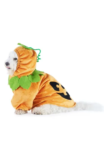 Vista 3 de Disfraz de Calabaza para Mascotas Multicolor