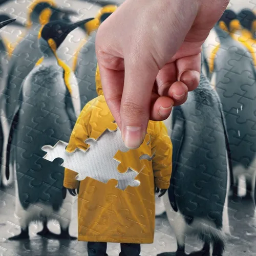 Vista 4 de Rompecabezas de pingüinos, material compuesto de madera de papel Zcon bolsa de almacenamiento e imagen de referencia fácil de resolver 500/1000