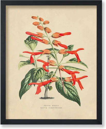 Vista 52 de Poster Master Póster Vintage de Titmouse Canadiense - Impresión Retro de Aves de América - Arte de Aves - Regalo para Hombres, Mujeres y Amantes