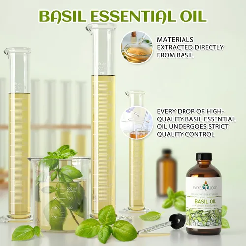 Vista 3 de EVOKE OCCU Aceite esencial de albahaca para difusor de masaje de piel y fabricación de velas, 4 onzas líquidas Aroma fresco y herbáceo para hacer