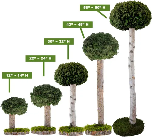 Vista 4 de Plantas reales sin riego, diseño artístico de musgo preservado y decoración, arreglo de plantas verdes naturales para interiores para el hogar