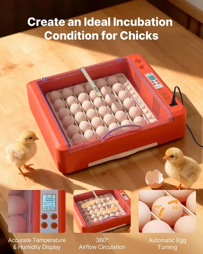 Vista 2 de VEVOR Incubadora de 36 huevos, incubadora automática con volteador de huevos y candelero LED y bandeja de agua, control de temperatura y humedad