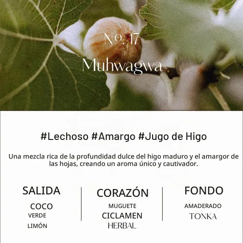 Vista 3 de hetras. Mango Semilla Mantequilla Perfume Crema de Manos Muhwagwa