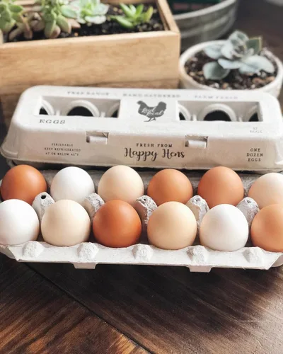 Vista 2 de Cartones de huevos impresos vintage, paquete de 90 cajas de cartón Henlay - Sostiene de forma segura una docena de huevos de pollo pequeños a XL