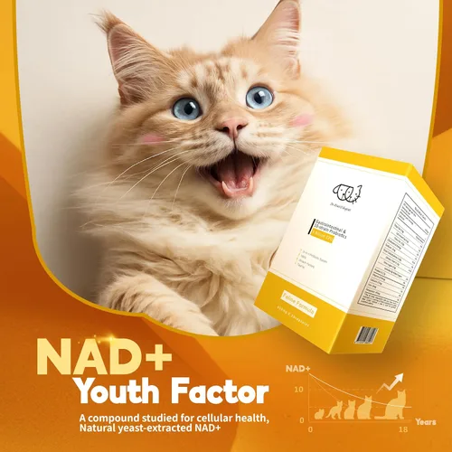 Vista 6 de Dr. Kiwi O'dogcat Probióticos para gatos Apoya la salud intestinal, la diarrea, la salud digestiva y las alergias estacionales