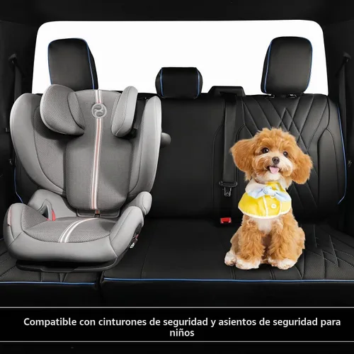 Vista 7 de EKR - Juego completo de fundas de asiento de coche F150 2021-2026 (4 Cuero (negro con borde azul)