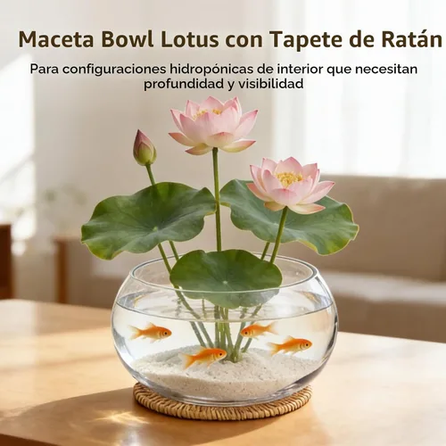 Vista 3 de Lotus - Maceta hidropónica de vidrio transparente de 9.8 pulgadas