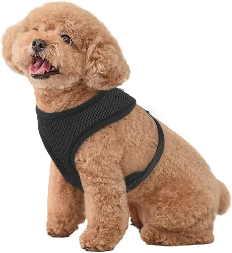 Vista 14 de MoNiBloom Arnés para perro de tamaño pequeño, chaleco acolchado suave para cachorros para caminar, correr, entrenar - negro, XS