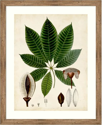 Vista 9 de Amanti Art Vision Studio - Lienzo decorativo para pared, 24 x 20 pulgadas, follaje verde VII por Vision Studio, arte de pared de naturaleza